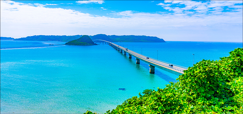 観光地案内